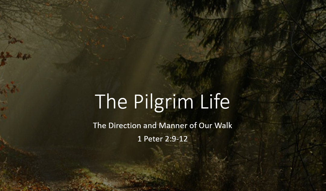 PLBF Vision Series: The Pilgrim Life – 1 Peter 2:9-12