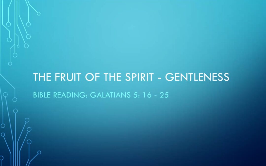 The Fruit of the Spirit Series: Gentleness – Galatians 5:16-25