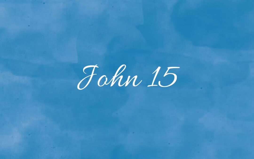 The Briefing Room: Order in the Chaos – John 15