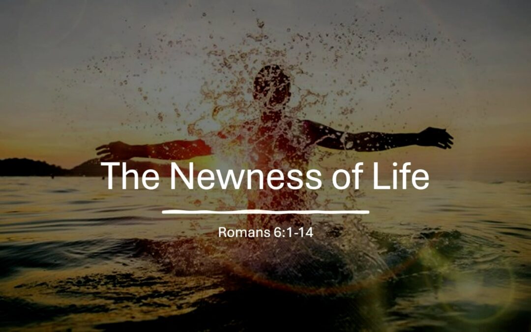 Romans Series: The Newness of Life – Romans 6:1-14